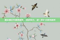 莱比锡红牛展现强势，持续发力，进一步扩大领先优势