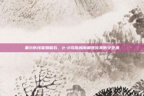 里尔防线坚如磐石，2-0完胜梅斯展现完美防守艺术