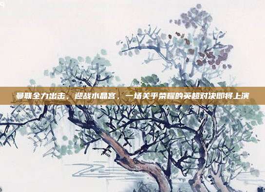 曼联全力出击，迎战水晶宫，一场关乎荣耀的英超对决即将上演  第1张