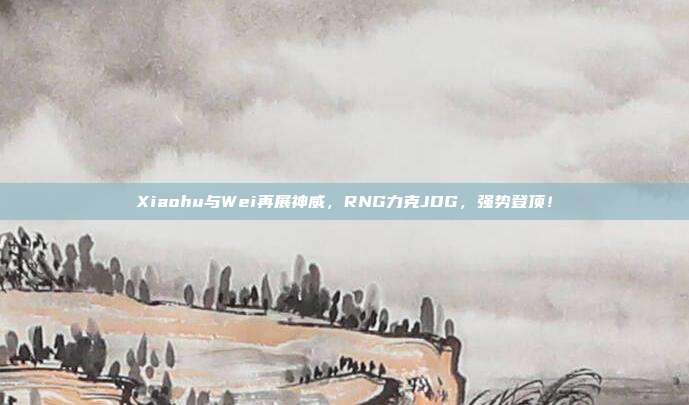 Xiaohu与Wei再展神威，RNG力克JDG，强势登顶！  第1张