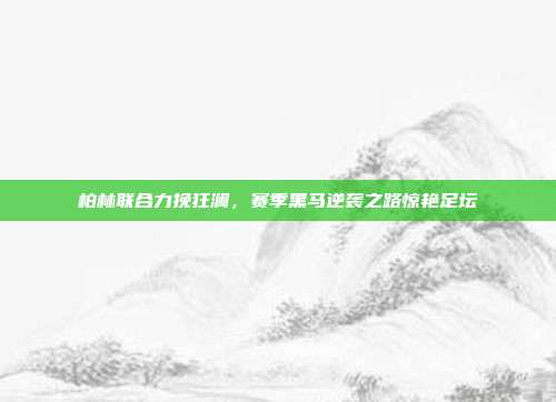 柏林联合力挽狂澜，赛季黑马逆袭之路惊艳足坛  第1张