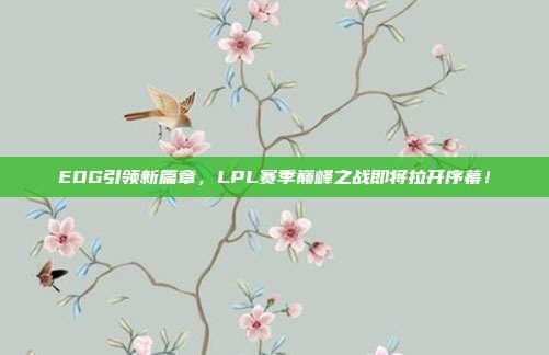 EDG引领新篇章，LPL赛季巅峰之战即将拉开序幕！  第1张