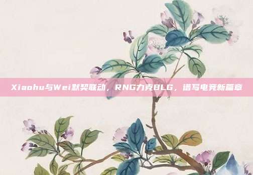 Xiaohu与Wei默契联动，RNG力克BLG，谱写电竞新篇章  第1张