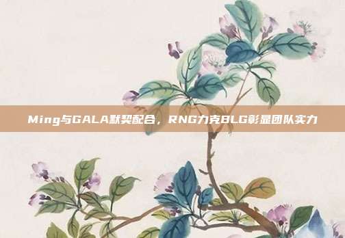 Ming与GALA默契配合，RNG力克BLG彰显团队实力  第1张