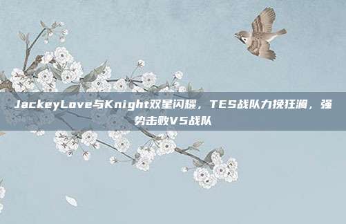 JackeyLove与Knight双星闪耀，TES战队力挽狂澜，强势击败V5战队  第1张