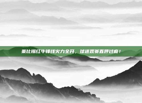 莱比锡红牛锋线火力全开，球迷观赛直呼过瘾！  第1张