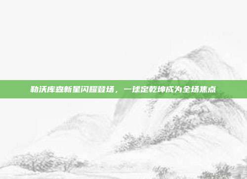 勒沃库森新星闪耀登场，一球定乾坤成为全场焦点  第1张