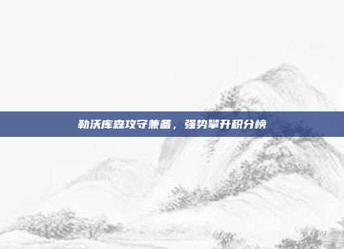 勒沃库森攻守兼备，强势攀升积分榜  第1张