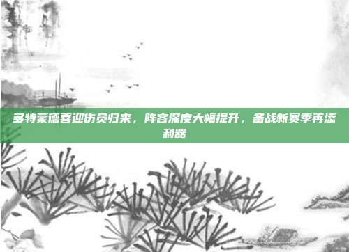 多特蒙德喜迎伤员归来，阵容深度大幅提升，备战新赛季再添利器  第1张